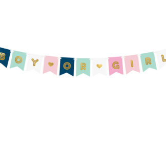 Baner Boy or Girl, mix, 15 x 175 cm