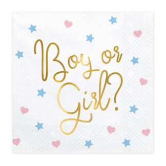 Serwetki – Boy or Girl?, 33x33cm. (1 op. / 20 szt.)