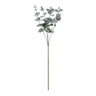 Gałązka Eukaliptus, 60 cm