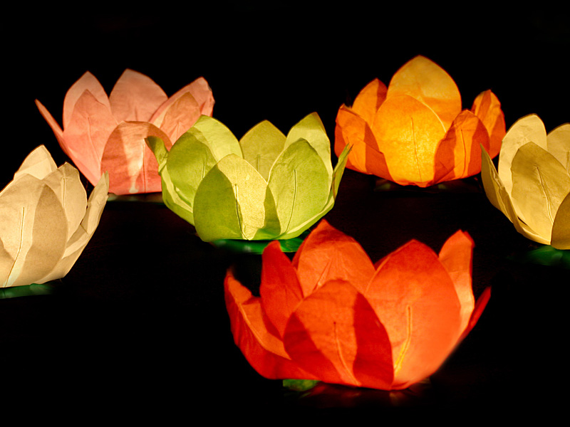 Lampiony pływające, mix, 29cm (1 op. / 6 szt.) - obrazek 2